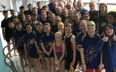 More success in the pool!